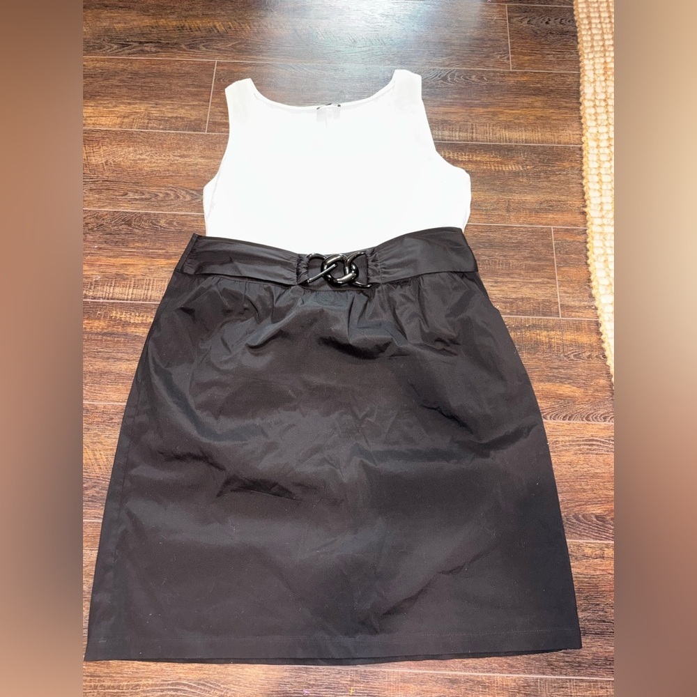 Lafayette 148 tank top and Black Skirt with Belt Detail